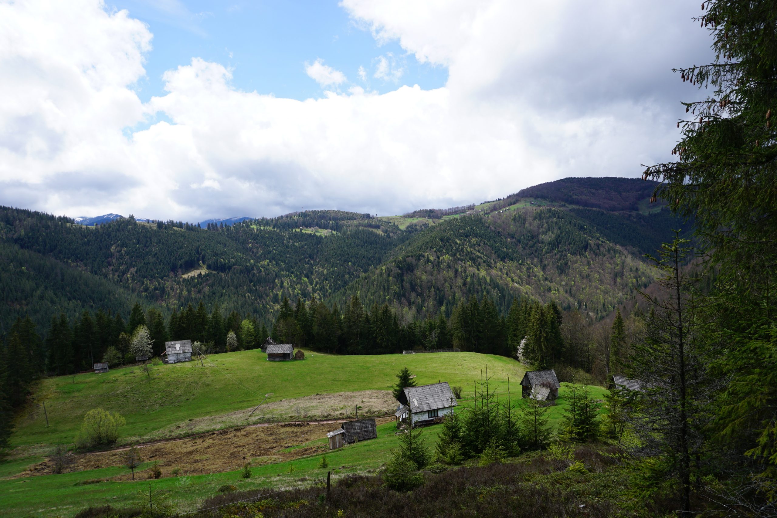 Padis, Apuseni, Romania