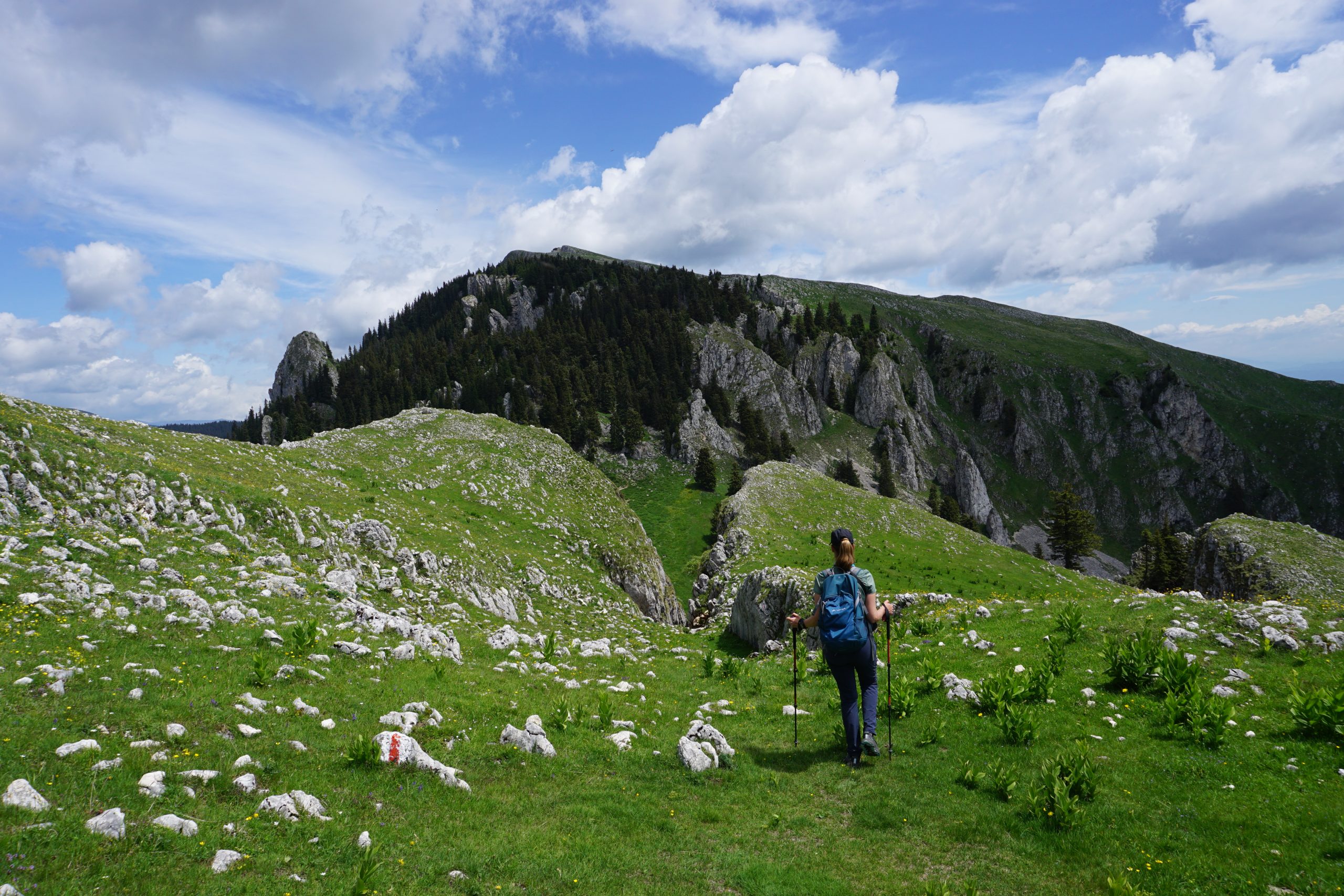 Hiking in the Buila-Vanturarita, Janneke Klop